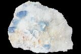 Blue, Cubic Fluorite Crystal Cluster - New Mexico #100985-2
